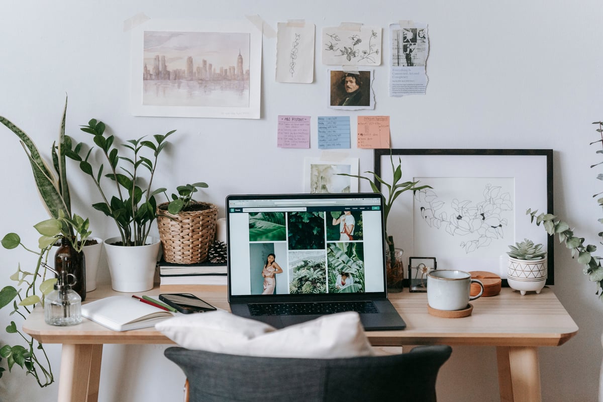 Laptop with smartphone placed around potted plant on table